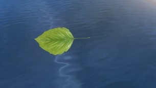 主封面