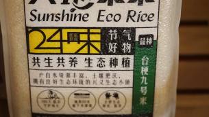 主封面
