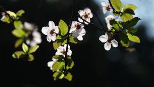 主封面