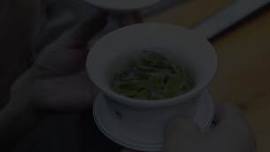 主封面