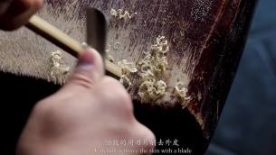 主封面