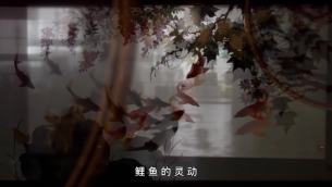 主封面