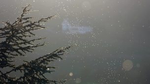 主封面