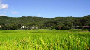 主封面