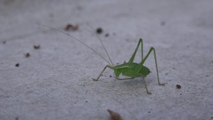 主封面