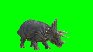 主封面