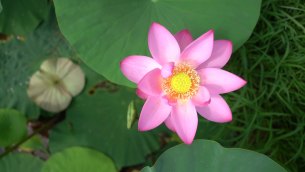 主封面