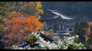 主封面