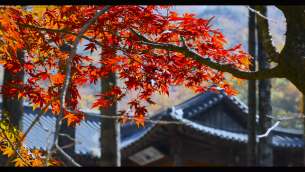 主封面