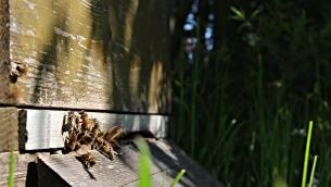 主封面