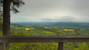 主封面