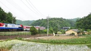 主封面