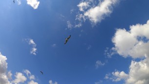 主封面