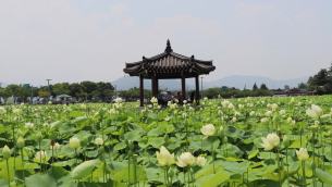 主封面