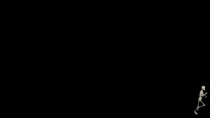 主封面
