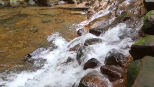 主封面
