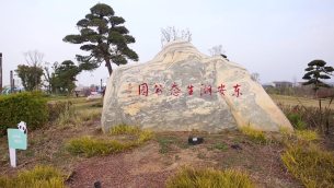 主封面