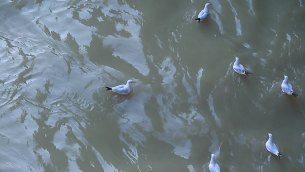 主封面