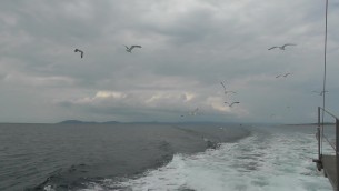 主封面