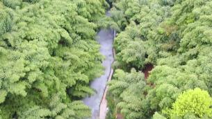 主封面