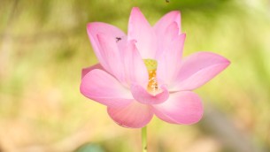 主封面