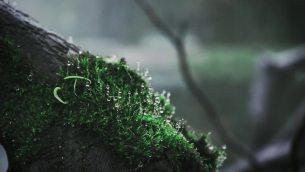 主封面