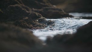 主封面