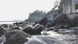主封面