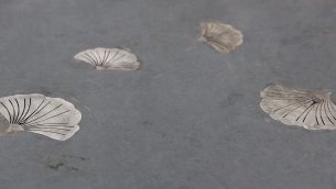 主封面