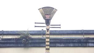 主封面