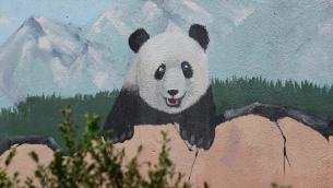 主封面