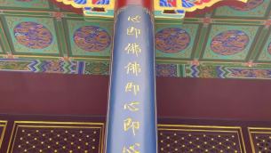 主封面