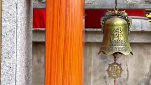 主封面