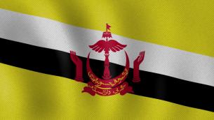 主封面