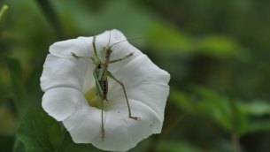 主封面