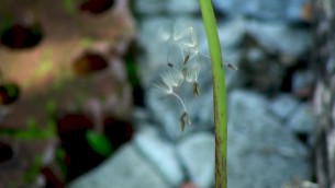 主封面