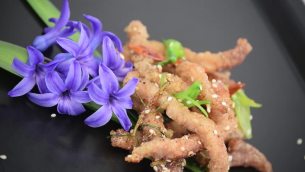 主封面