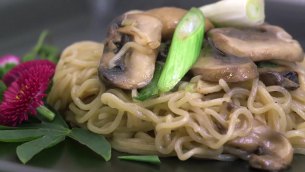 主封面
