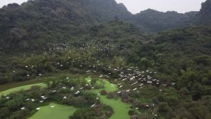主封面