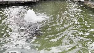 主封面