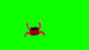 主封面