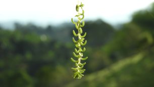 主封面