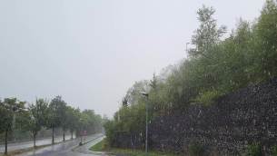 主封面