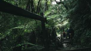 主封面