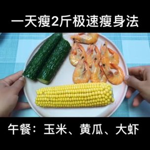 主封面