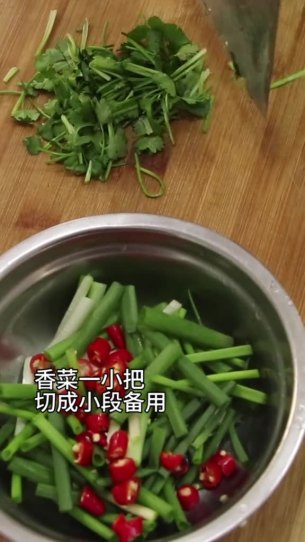 主封面