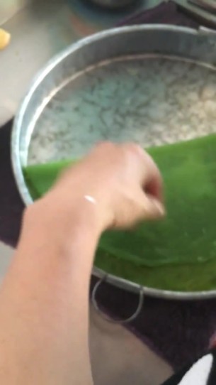 主封面