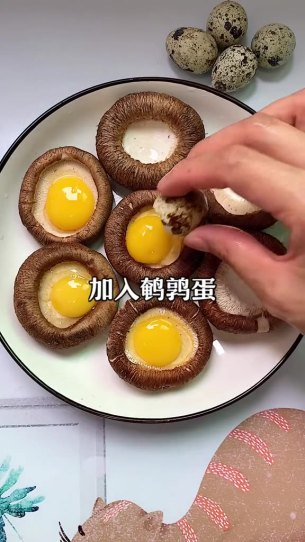 主封面