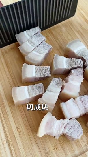 主封面