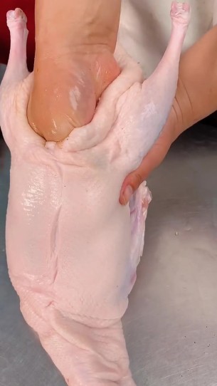 主封面